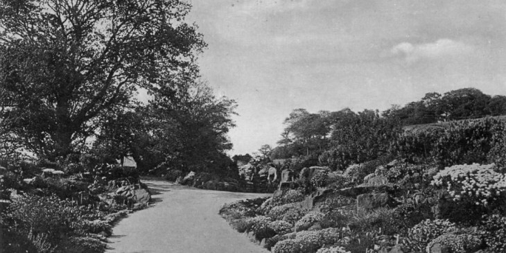 The Rock Garden, Roath Park 1909